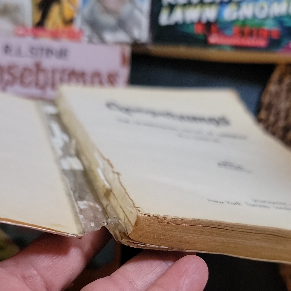 Goosebumps Book Collection - Picture 3 of 4